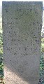 T19