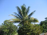 IMG_7607