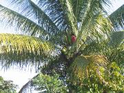 IMG_7610