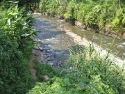 IMG_7921