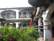 IMG_7953
