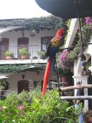 IMG_7954