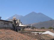IMG_8350