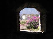 IMG_8359