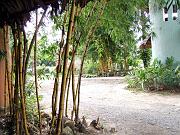 DSCF1330