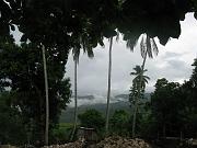 marji_064