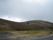 Steve_061