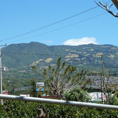 Rob_157